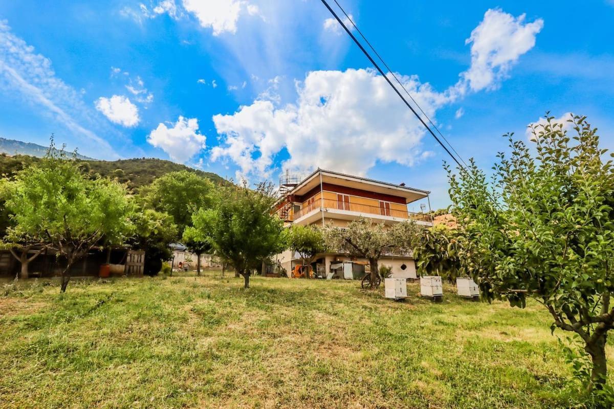Country Home Genesi 20 Min From Trikala Exterior foto