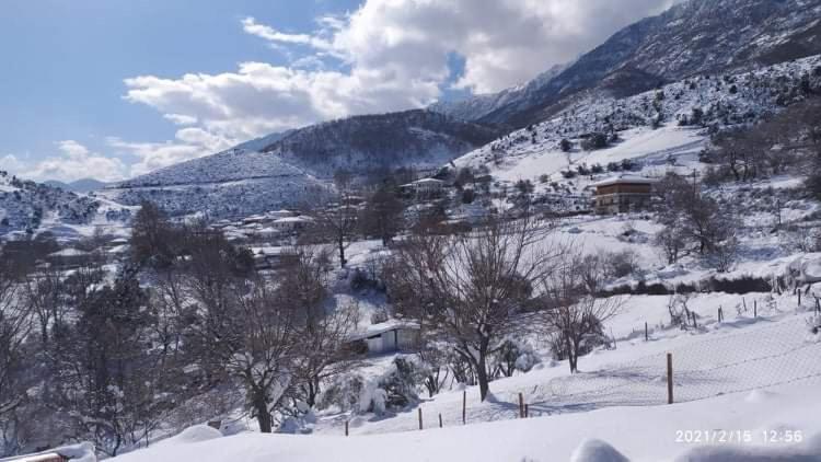 Country Home Genesi 20 Min From Trikala Exterior foto