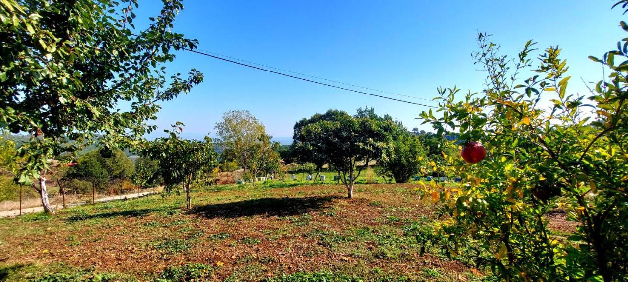 Country Home Genesi 20 Min From Trikala Exterior foto