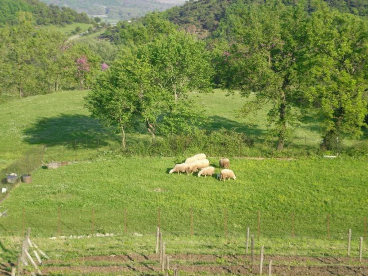 Country Home Genesi 20 Min From Trikala Exterior foto